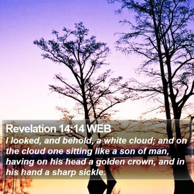 Revelation 14:14 WEB Bible Verse Image