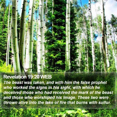Revelation 19:20 WEB Bible Verse Image