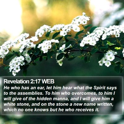 Revelation 2:17 WEB Bible Verse Image