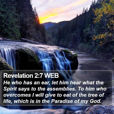 Revelation 2:7 WEB Bible Verse Image