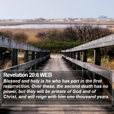 Revelation 20:6 WEB Bible Verse Image