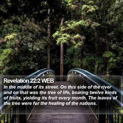 Revelation 22:2 WEB Bible Verse Image