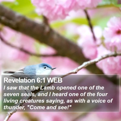 Revelation 6:1 WEB Bible Verse Image