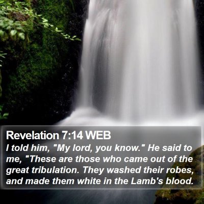 Revelation 7:14 WEB Bible Verse Image