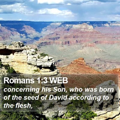 Romans 1:3 WEB Bible Verse Image