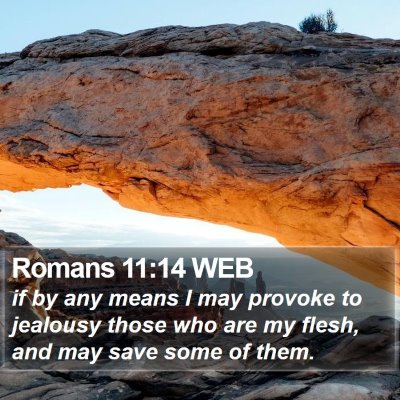 Romans 11:14 WEB Bible Verse Image