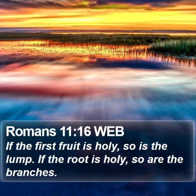 Romans 11:16 WEB Bible Verse Image