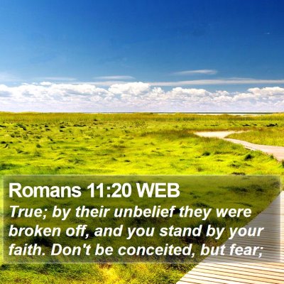 Romans 11:20 WEB Bible Verse Image