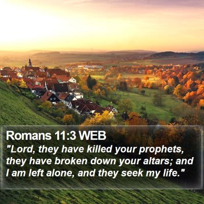 Romans 11:3 WEB Bible Verse Image