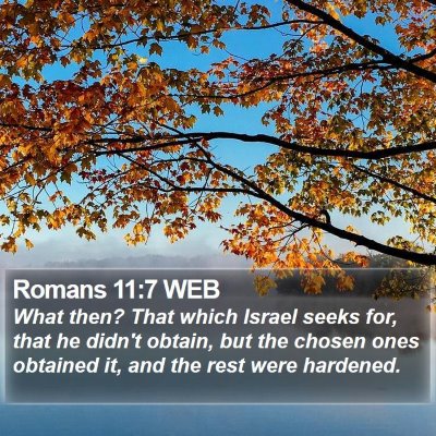 Romans 11:7 WEB Bible Verse Image