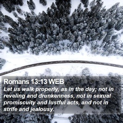 Romans 13:13 WEB Bible Verse Image
