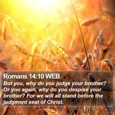 Romans 14:10 WEB Bible Verse Image