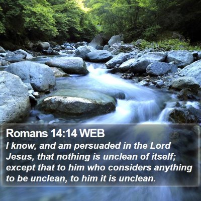 Romans 14:14 WEB Bible Verse Image