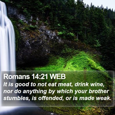 Romans 14:21 WEB Bible Verse Image