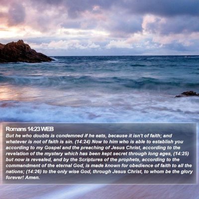 Romans 14:23 WEB Bible Verse Image