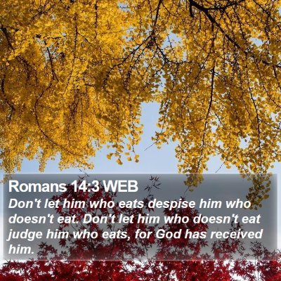 Romans 14:3 WEB Bible Verse Image
