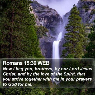 Romans 15:30 WEB Bible Verse Image