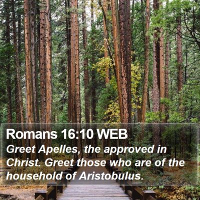 Romans 16:10 WEB Bible Verse Image