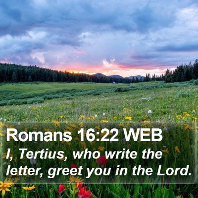 Romans 16:22 WEB Bible Verse Image