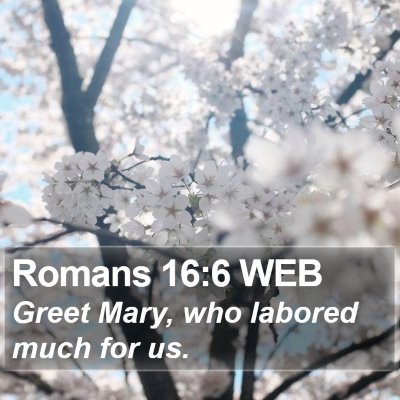 Romans 16:6 WEB Bible Verse Image