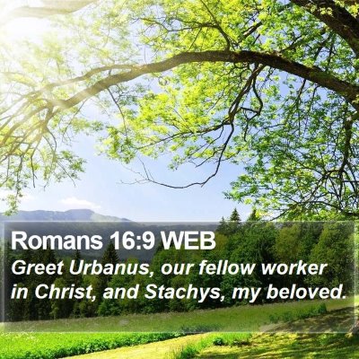 Romans 16:9 WEB Bible Verse Image