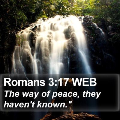 Romans 3:17 WEB Bible Verse Image