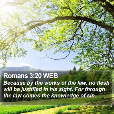 Romans 3:20 WEB Bible Verse Image