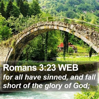 Romans 3:23 WEB Bible Verse Image