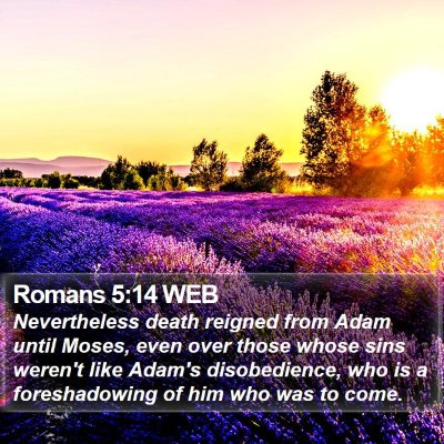 Romans 5:14 WEB Bible Verse Image