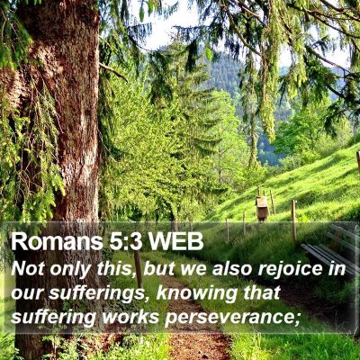 Romans 5:3 WEB Bible Verse Image