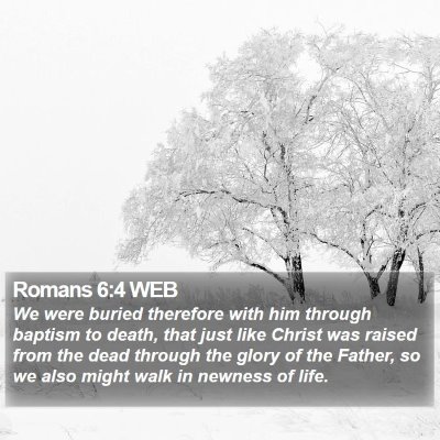 Romans 6:4 WEB Bible Verse Image