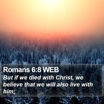Romans 6:8 WEB Bible Verse Image
