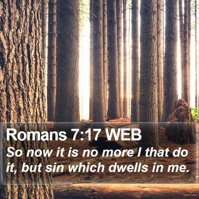 Romans 7:17 WEB Bible Verse Image