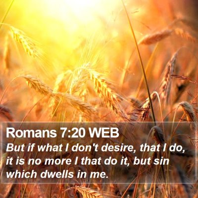 Romans 7:20 WEB Bible Verse Image