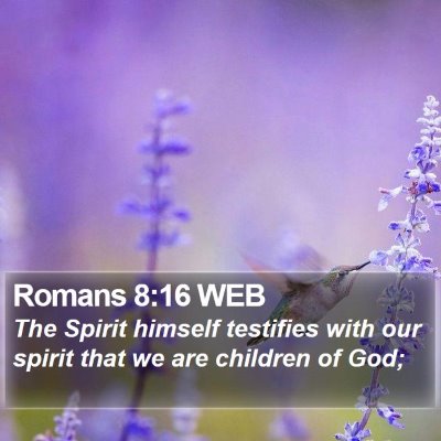 Romans 8:16 WEB Bible Verse Image