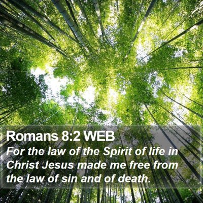 Romans 8:2 WEB Bible Verse Image