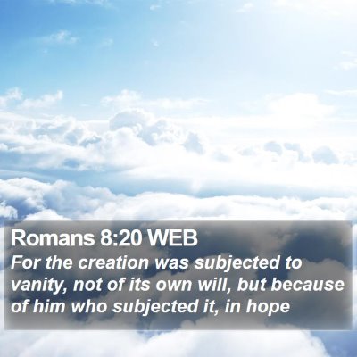 Romans 8:20 WEB Bible Verse Image