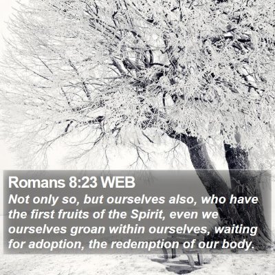 Romans 8:23 WEB Bible Verse Image