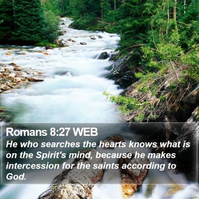 Romans 8:27 WEB Bible Verse Image