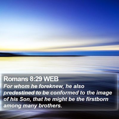 Romans 8:29 WEB Bible Verse Image