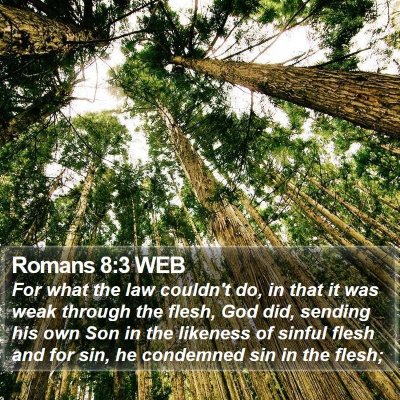 Romans 8:3 WEB Bible Verse Image