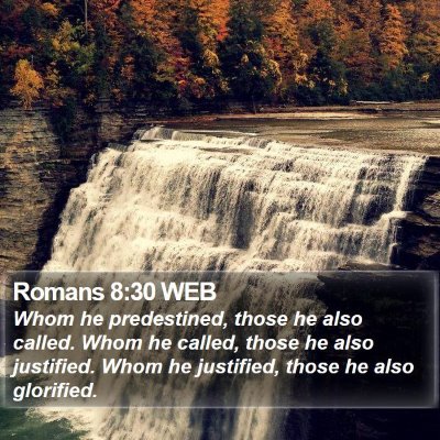 Romans 8:30 WEB Bible Verse Image