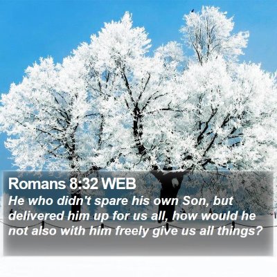 Romans 8:32 WEB Bible Verse Image