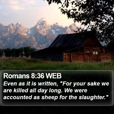 Romans 8:36 WEB Bible Verse Image