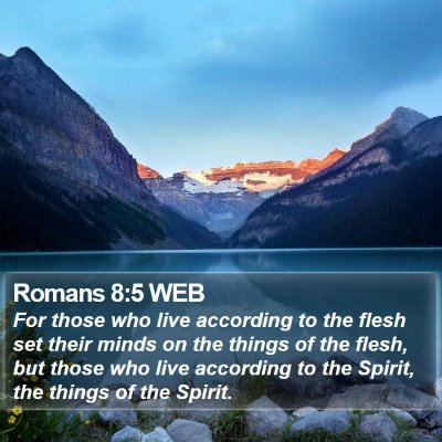 Romans 8:5 WEB Bible Verse Image