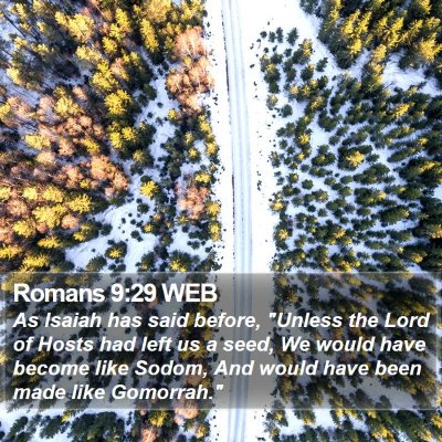 Romans 9:29 WEB Bible Verse Image