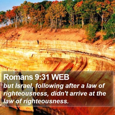 Romans 9:31 WEB Bible Verse Image