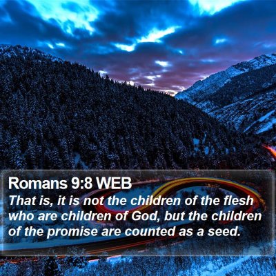 Romans 9:8 WEB Bible Verse Image