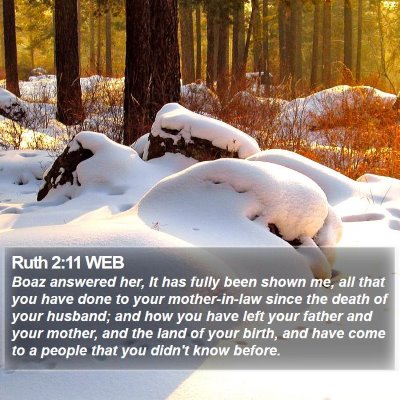 Ruth 2:11 WEB Bible Verse Image