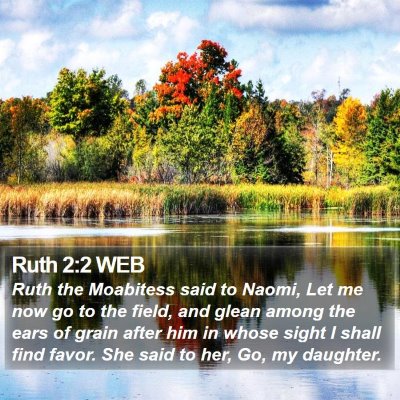 Ruth 2:2 WEB Bible Verse Image